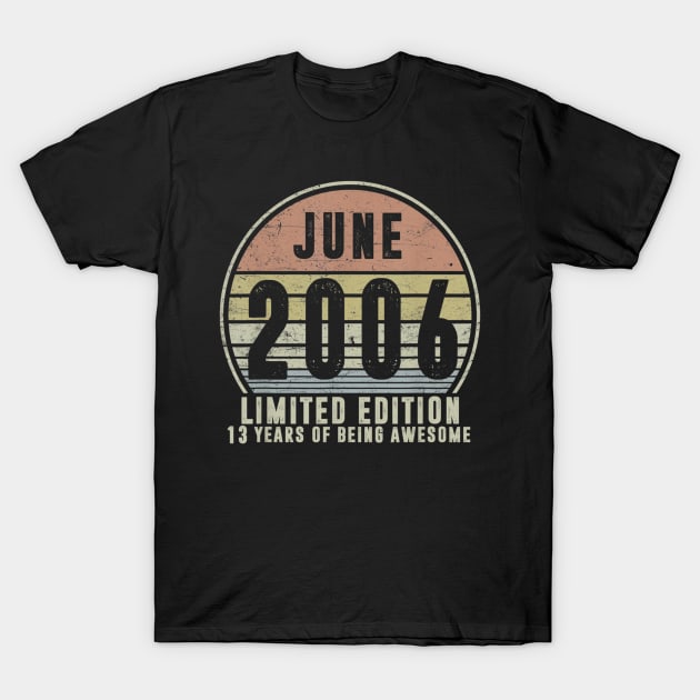 Born June 2006 Limited Edition 2006th Birthday Gifts T-Shirt by teudasfemales